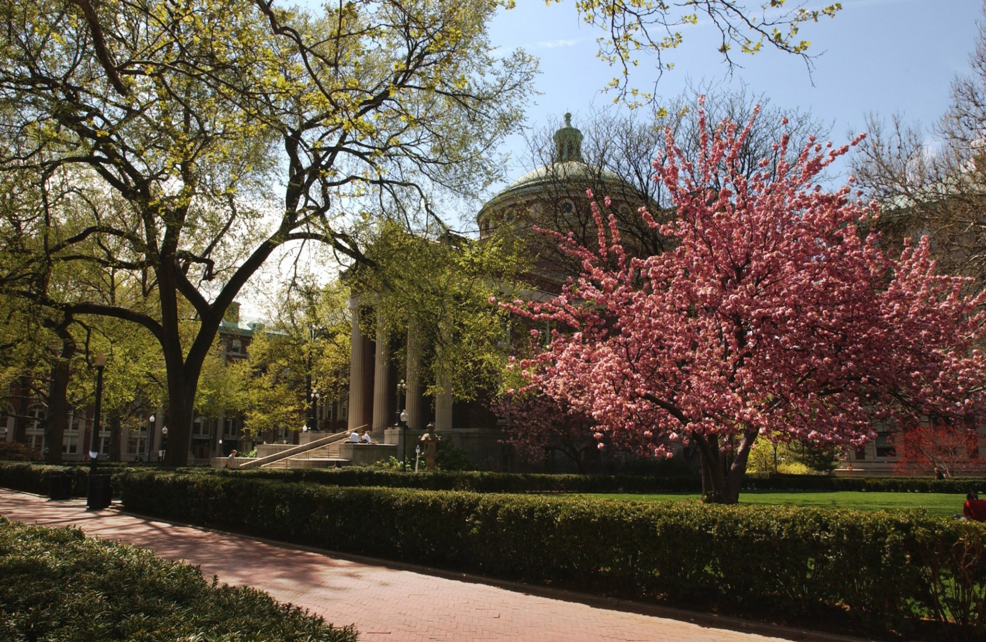 Earl Hall on a beautiful sunny spring day