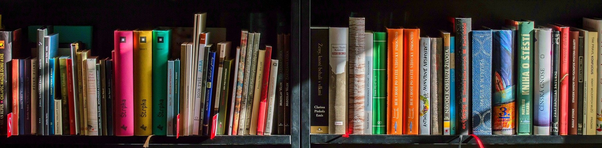 Colorful books filled on a bookshelf 