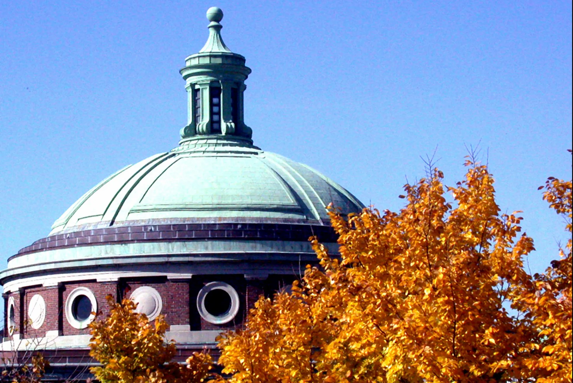 Earl Hall with a colorful fall tree in front of it.